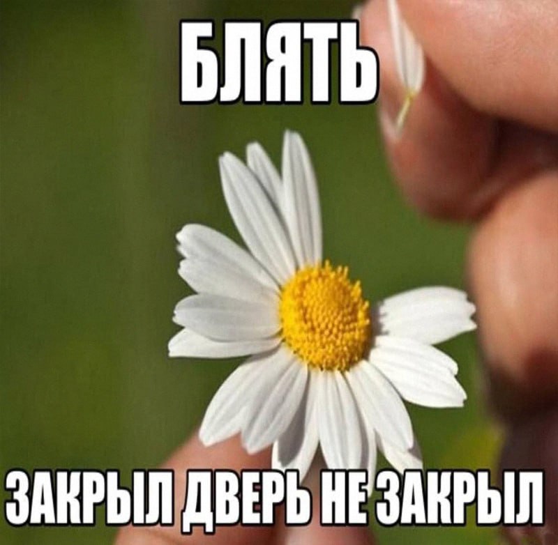 Утренняя подборочка