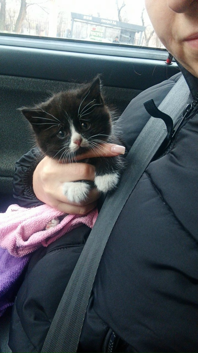 Здравствуйте. Пожалуйста, выложите пост, может кому-то ...