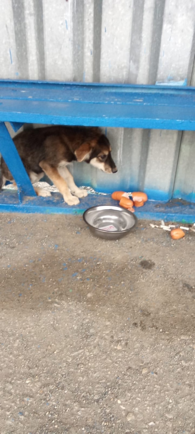 На остановке Кабанка в сторону Увельского софхоза под ...