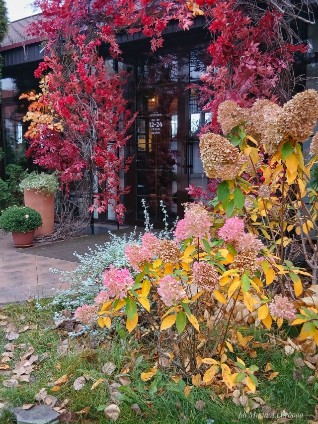 Впереди выходные, погода без дождя.🌤 Прекрасная возмо...