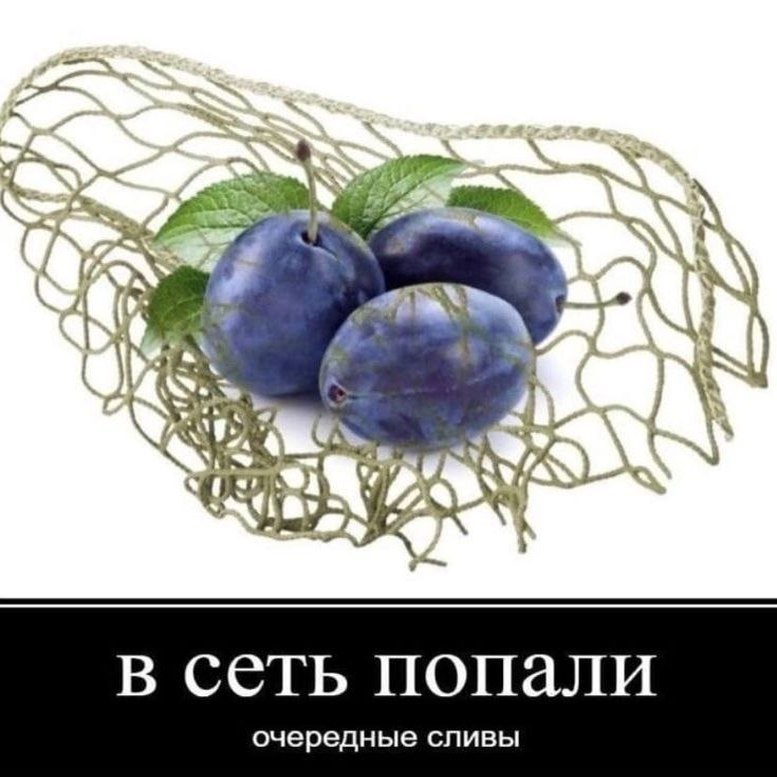 Утренняя подборочка