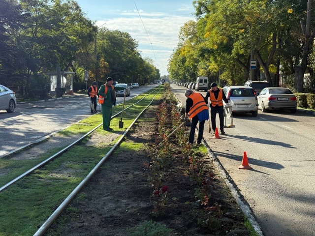 🌹Улица Фрунзе продолжает преображаться.
Озеленители...