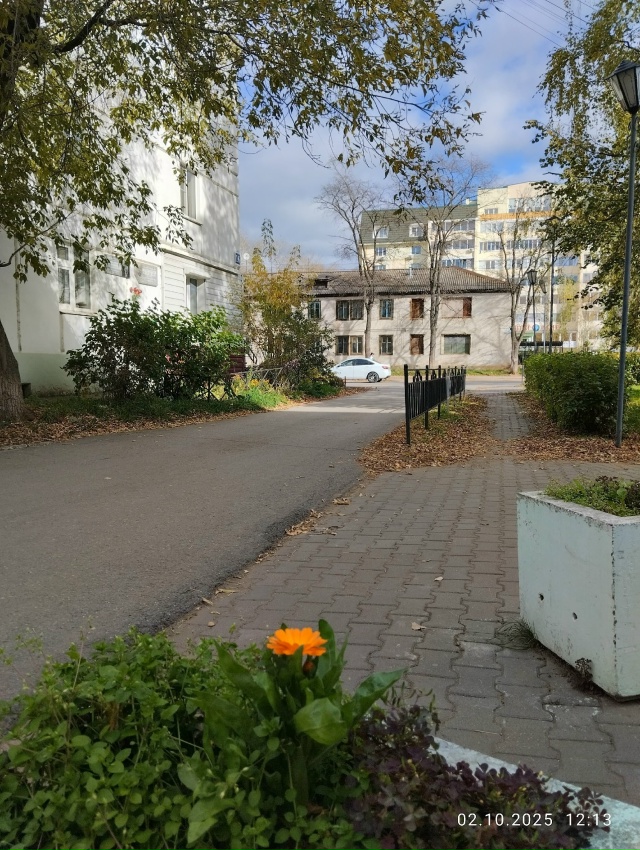 Доброе утро ⛅
Фото: Дамира Кустова