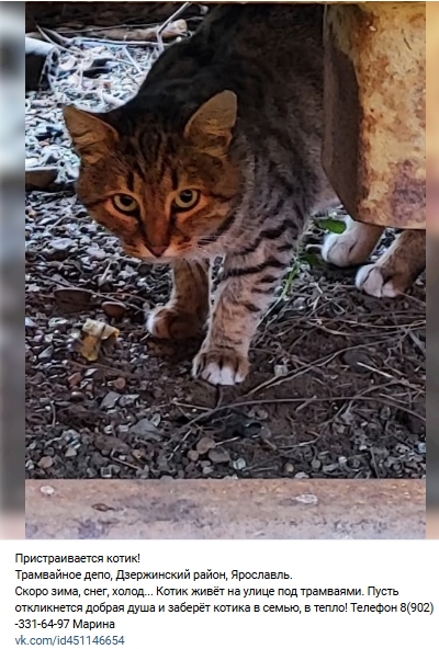 Пост добра. Распространите, пожалуйста.