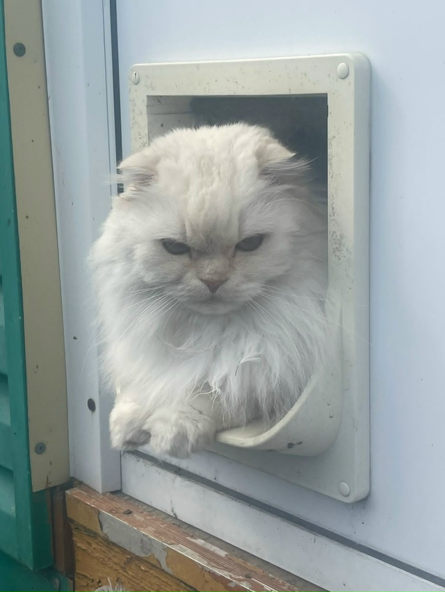 Бро выглядит так, будто пришел выдать тебе сайд-квест н...