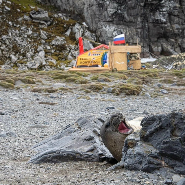 Известный путешественник Федор Конюхов завершил анта?...