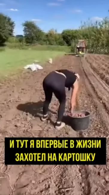 Рабочий способ заставить мужика ехать сажать картошку