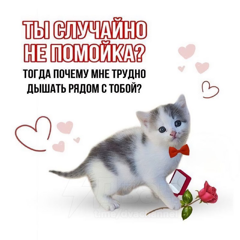 Отправь тому самому человеку