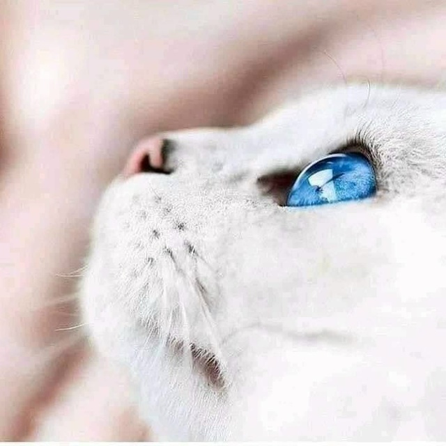 Это великолепно))