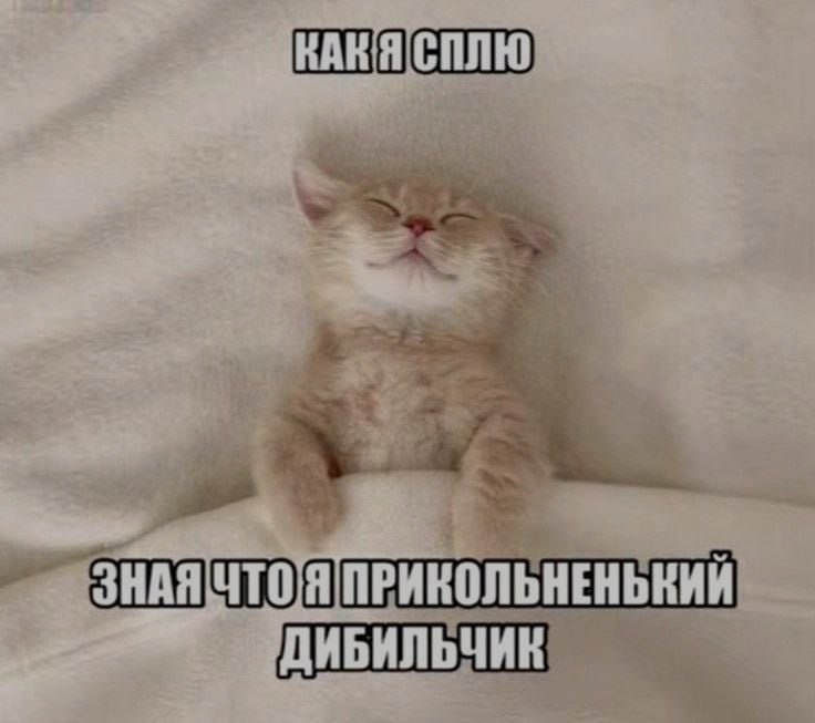Ночная подборочка
Выходные, не спим