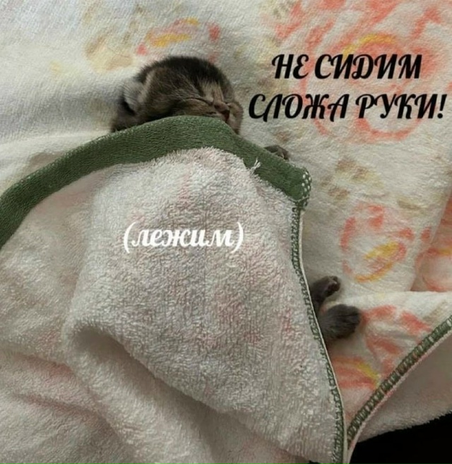 Держите план действий на эти выходные.
Повторять по м?...