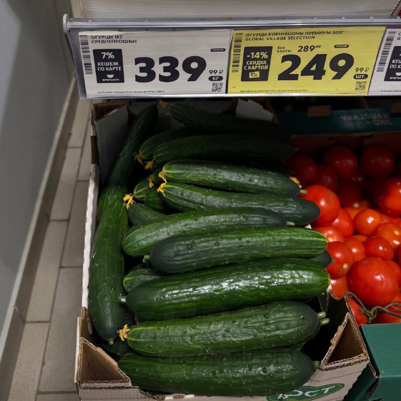 Цены на огурцы в России сошли с ума: теперь килограмм стоит столько же, сколько манго или питахайя —