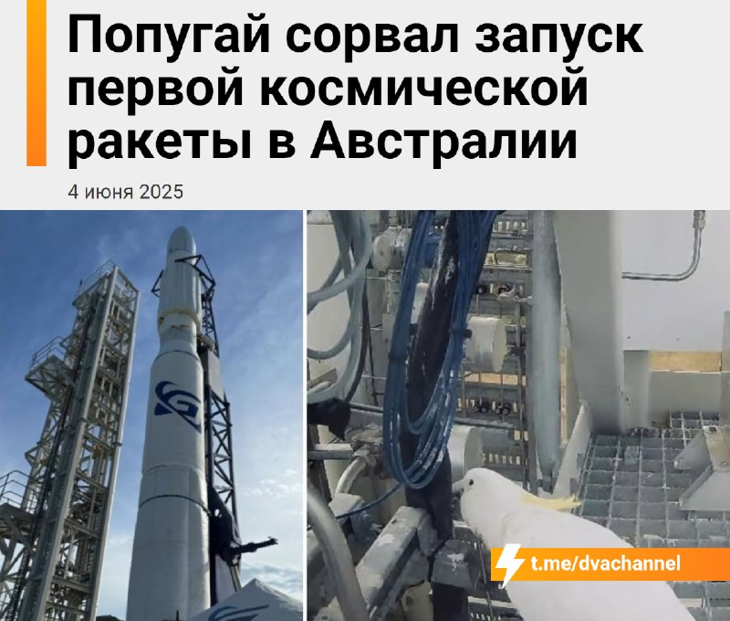 Попугай помешал запуску первой космической ракеты в Австралии
Старт ракеты Eris пришлось перенести
