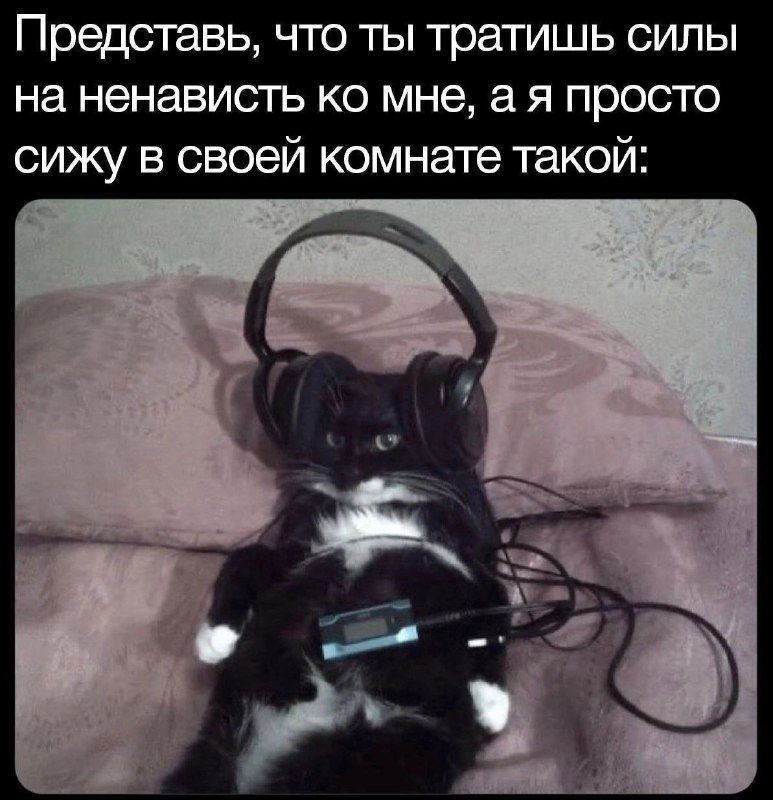 Утренняя подборочка