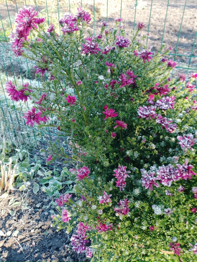 Нас утро встречает прохладой