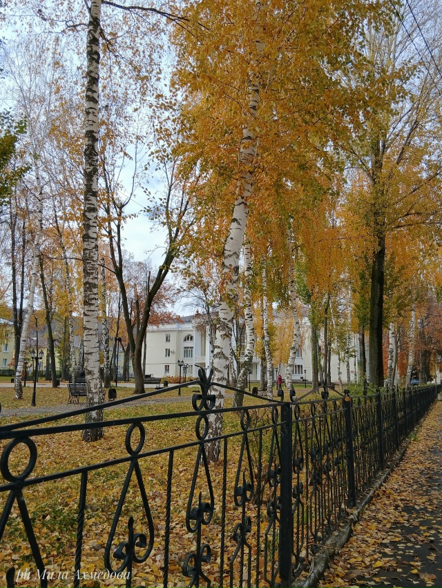 Сквер за Дворцом культуры ,, Жигулёвский,,