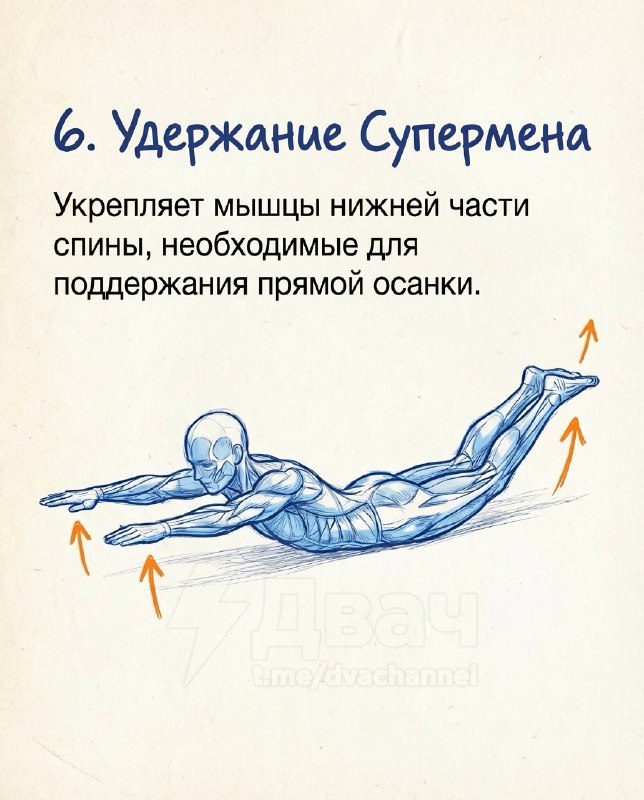 Подвезли лучшие упражнения для увеличения роста, исправления осанки и укрепления спины
Эти простые