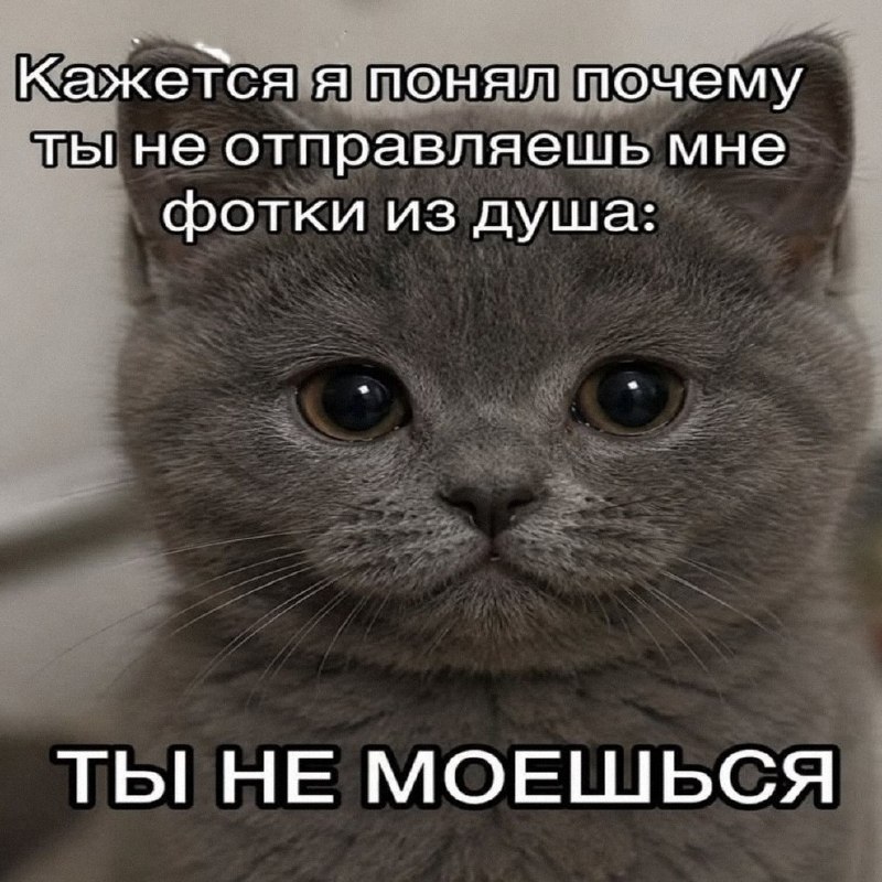 Утренняя подборочка