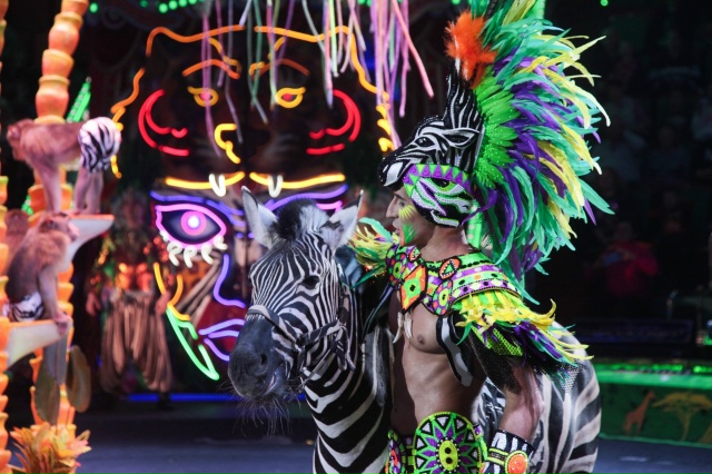 Подошли к концу гастроли в Ярославском цирке. Кто-нибу?...