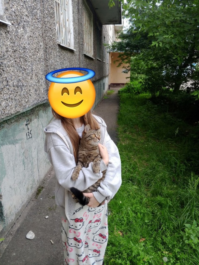 ПРОПАЛ КОТИК❗️ Выпрыгнул с балкона на 1 этаже утром 1...