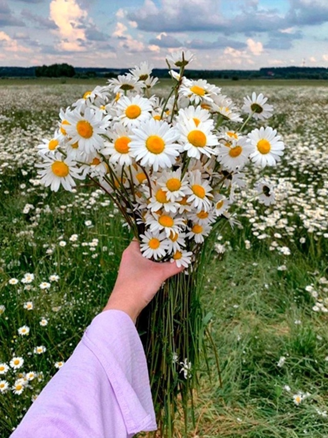 «лето — это маленькая жизнь» 🧡🌿