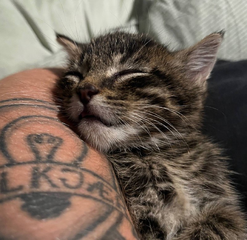 Вырубаемся споть :3