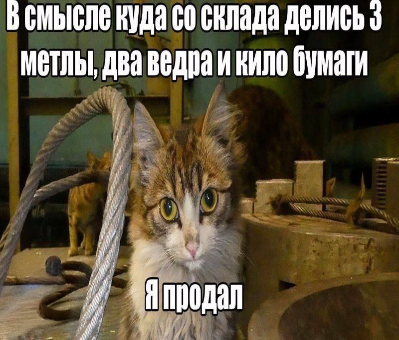 Утренняя подборочка