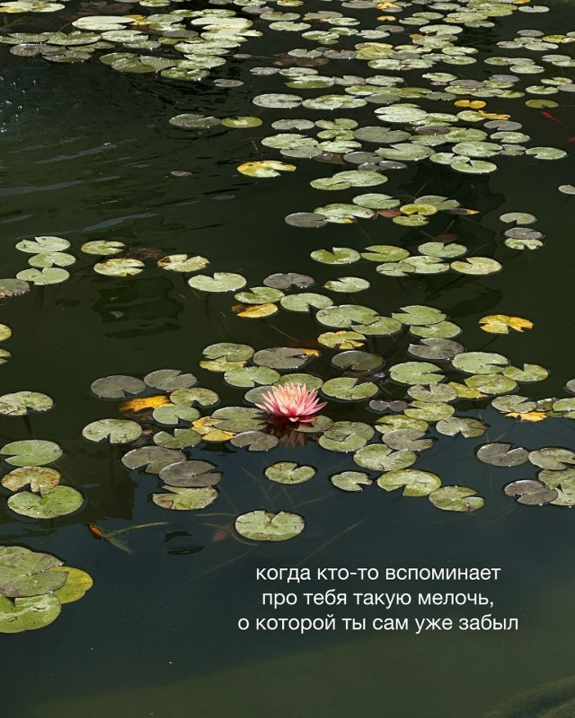 Какие ощущения без названия ты испытываешь?