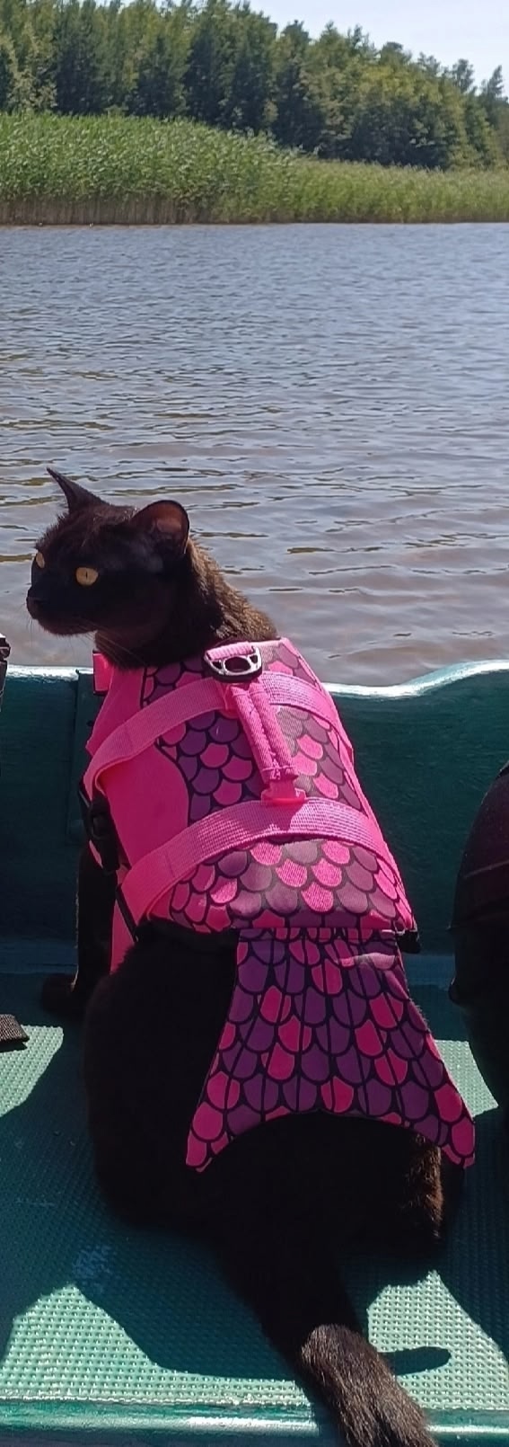 Во время отдыха соблюдайте правила поведения на водоё?...