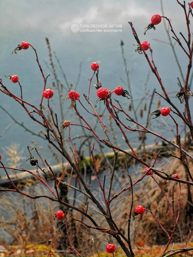 Осень! Красавица! Осень! ❤️🍁🍂
Ты вновь подарила немн...