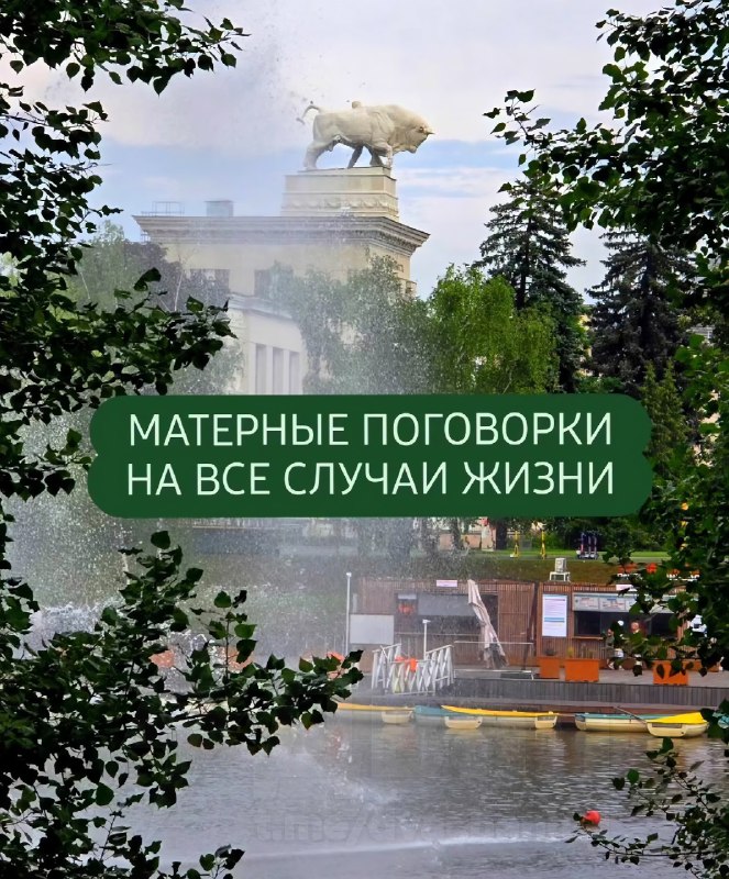 В Интернете появилась коллекция идеальных поговорок на каждый день
Сохраняем и используем с коллега