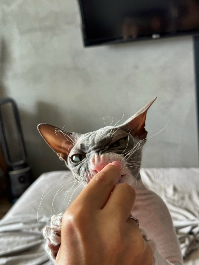 Случилась Стичевая фотосессия 💔