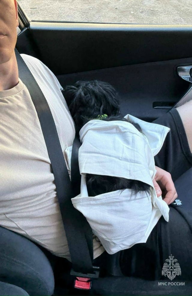 ?В Башкирии пожарные спасли раненую в ДТП собаку
Пож?...