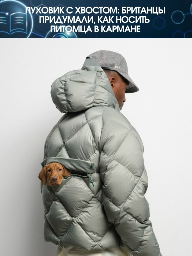 Если вы всё ещё считаете, что прогулка с питомцем — это...