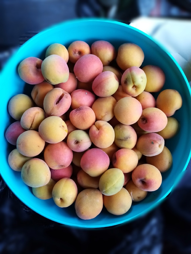 Продам яблоки: сочные, сладкие, экологически чистые 🙂;...