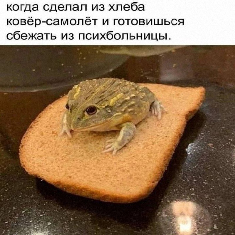 Утренняя подборочка