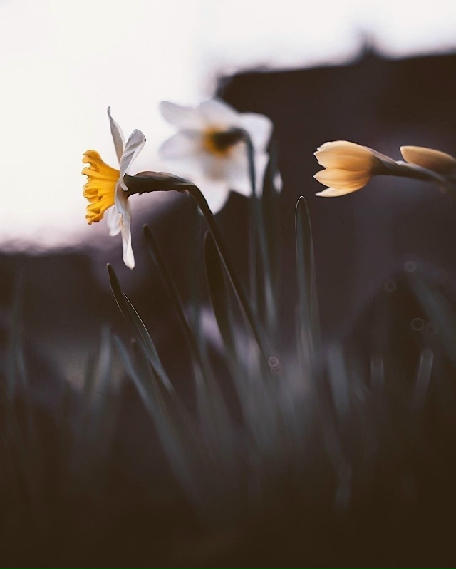 важно одно: не озлобиться от разочарований, научиться ?...