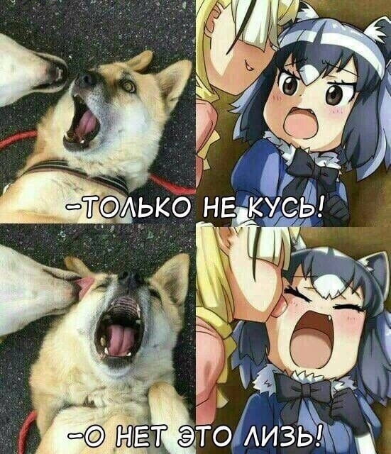 Как вам новая подборка?