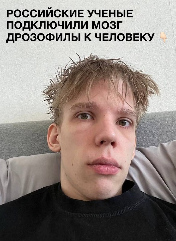 Мемы TON'а