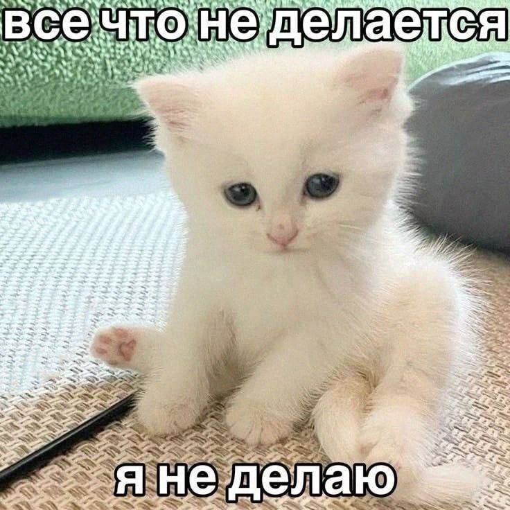 Утренняя подборочка