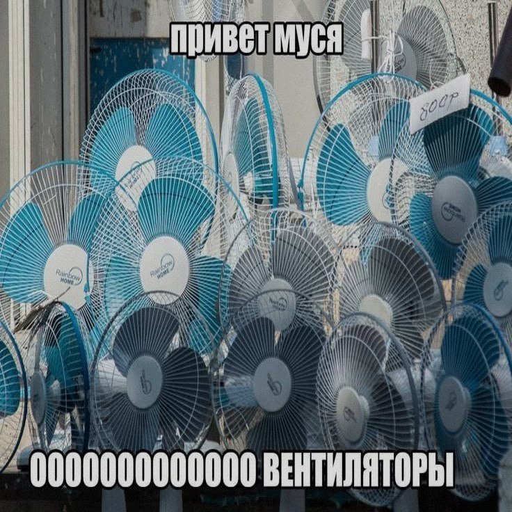 Ночная подборочка
Выходные, не спим