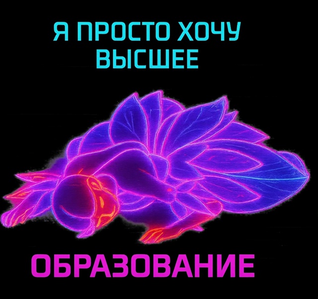 просто дайте мне закончить последний курс спокойно...