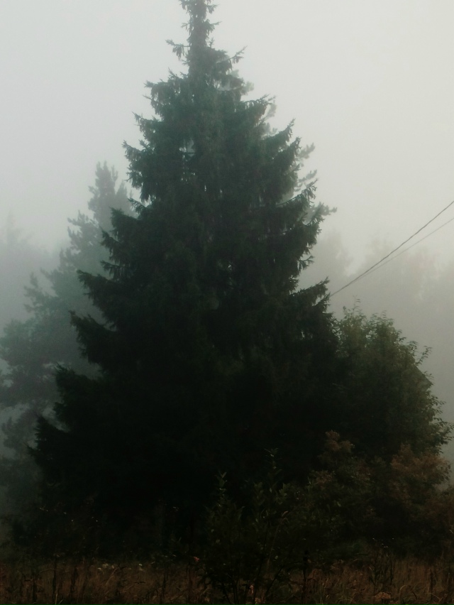 12.08.25
5:58am
Velsk
Автор: [id466337504|Андрей Осинин]
#Я_тебя_видел@...