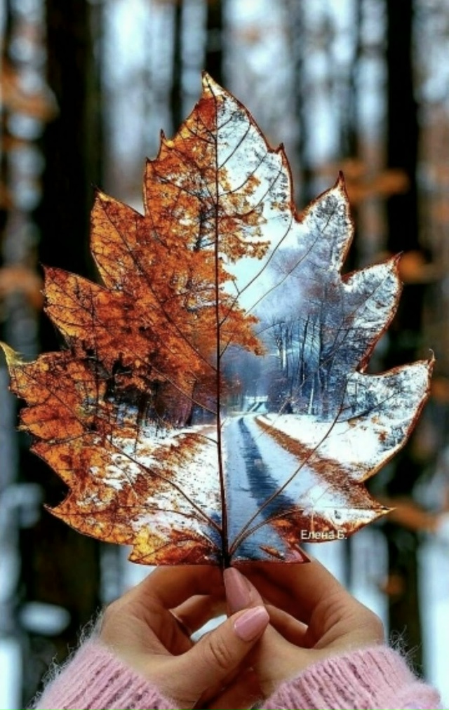 Шагает в осени природа,
Сдаёт свои права октябрь.
И для ...