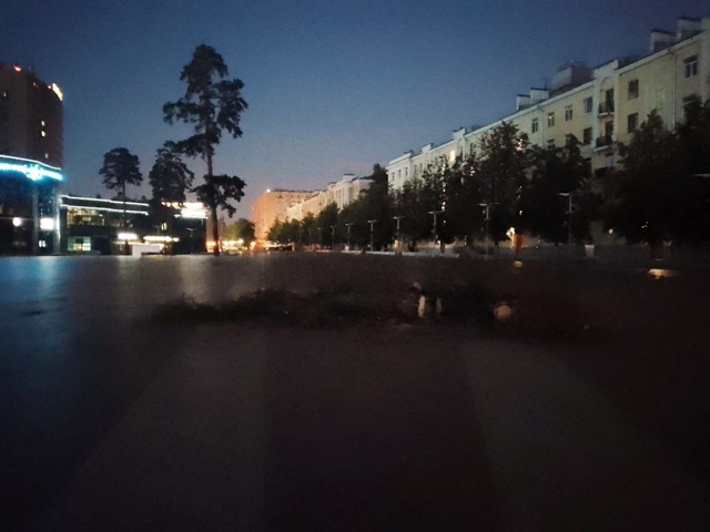 Хоба - и нет сосны😢