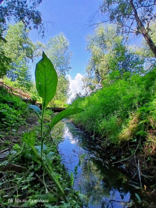 Живописное село Бахилова поляна. г.о. Жигулевск, Самар?...