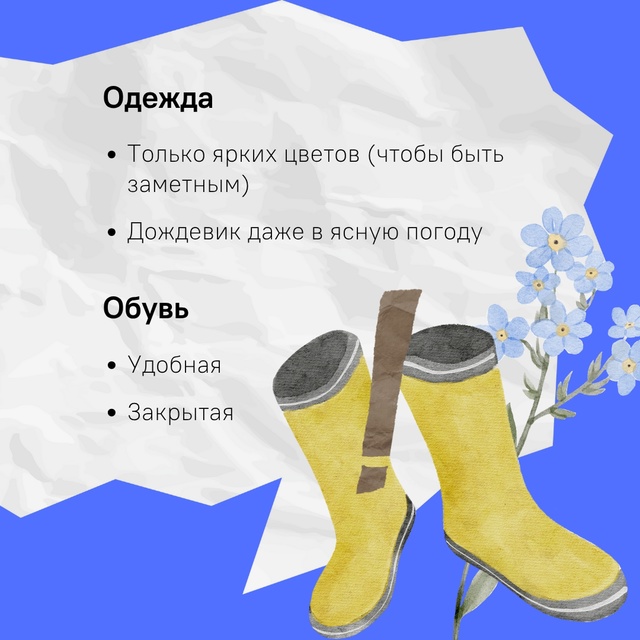 В Костромской области начали пропадать грибники…
Люб...