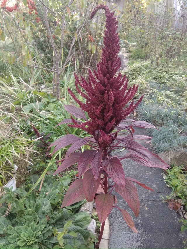 Всем доброе утро! Подскажите, кто в курсе, работает ли ?...