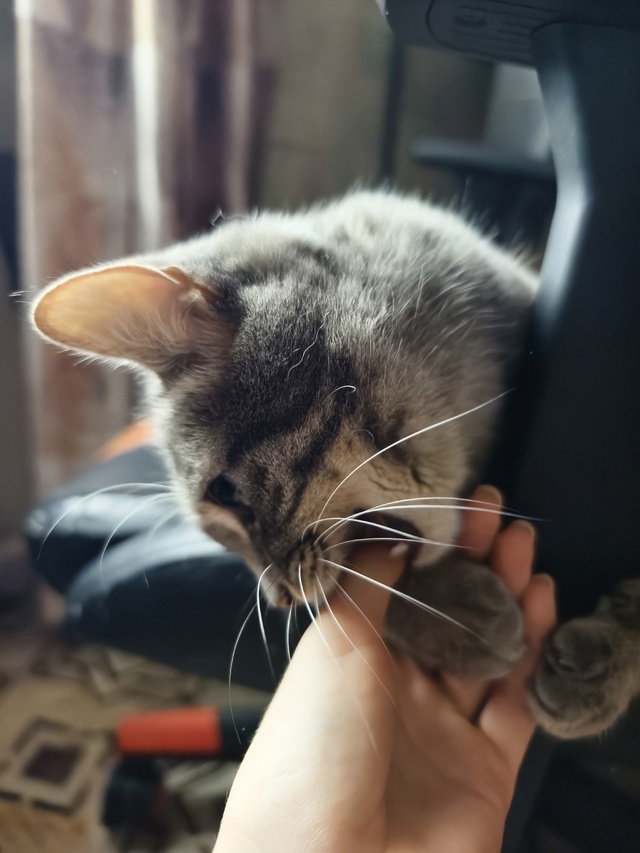 Евочка💖