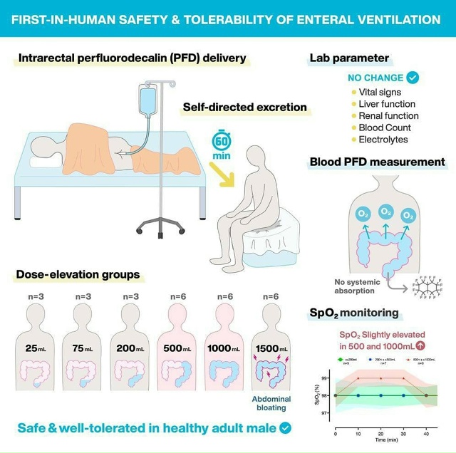 Исследователи из Японии провели необычный эксперимен?...